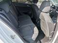 Volkswagen Golf 2.0 tdi 150cv dsg -51000 KM!GARANZIA FINO A 12/25 Bianco - thumbnail 14