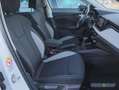 Skoda Kamiq 1.0 TSI Tour DSG Matrix Navi RüKa Sitzh. Weiß - thumbnail 4