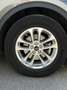 Ford Kuga Kuga 2,5 Duratec FHEV Titanium X Aut. Titanium X Grau - thumbnail 10