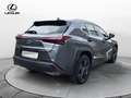 Lexus UX 250h UX Hybrid Urban Grau - thumbnail 5