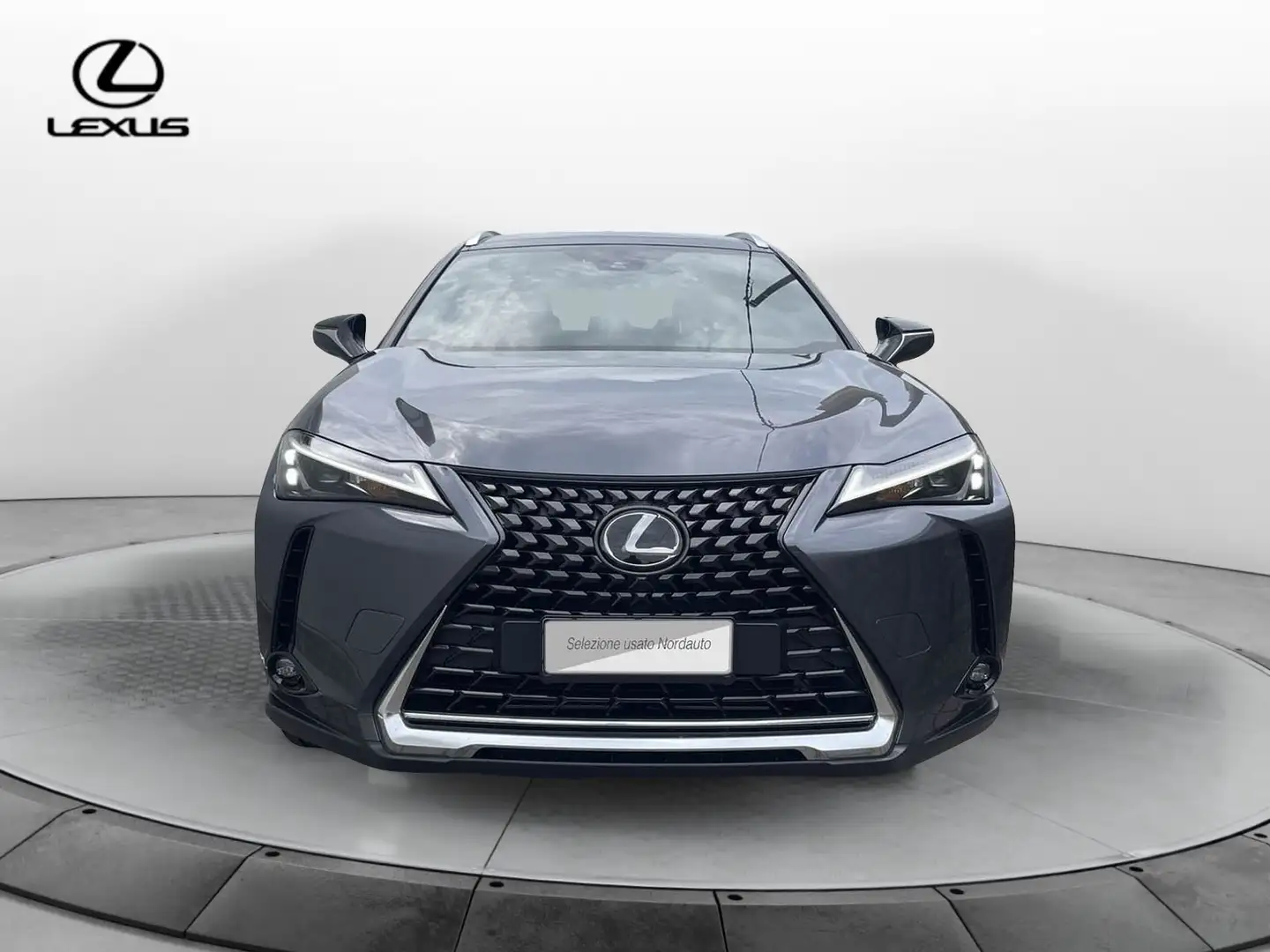 Lexus UX 250h UX Hybrid Urban Grau - 2