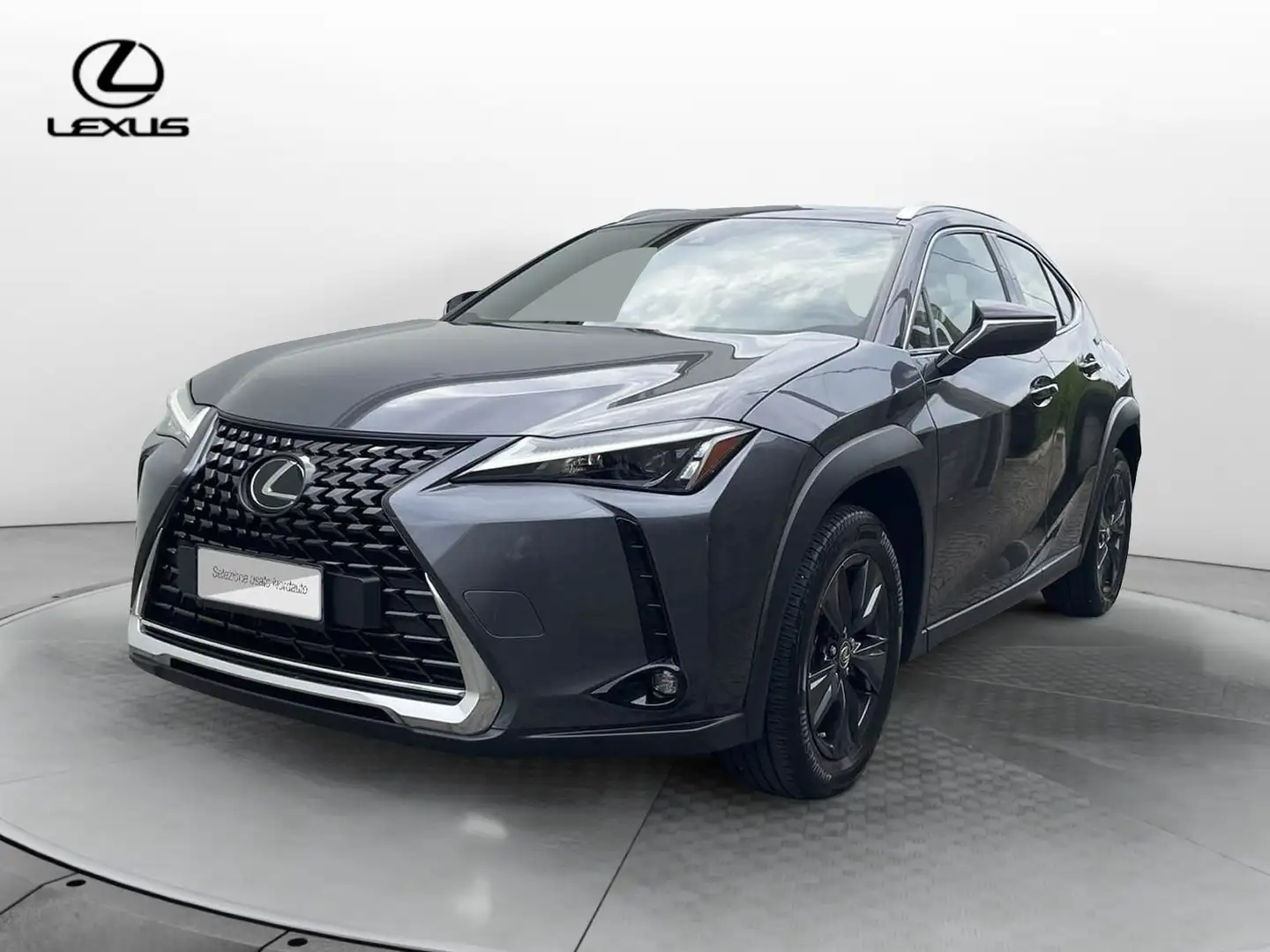 Lexus UX 250h UX Hybrid Urban Grau - 1