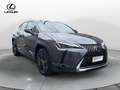 Lexus UX 250h UX Hybrid Urban Grau - thumbnail 3