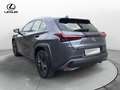 Lexus UX 250h UX Hybrid Urban Grau - thumbnail 7