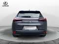 Lexus UX 250h UX Hybrid Urban Grau - thumbnail 6