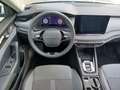 Skoda Octavia 2.0 TDI 110 kW Selection Zwart - thumbnail 11