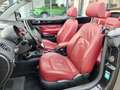 Volkswagen New Beetle Cabrio 1.6 Limited Red Edition GPL Noir - thumbnail 7