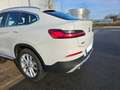 BMW X4 xDrive 20d Mild Hybrid 48 V Aut. xLine Pano HUD LC-Plus AHK Weiß - thumbnail 4