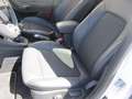 Ford Puma Titanium X, GARANTIE Bianco - thumbnail 6