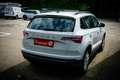 Skoda Karoq 2,0 TDI DSG Ambition *LED*KAMERA*LKRD-HEIZUNG* Weiß - thumbnail 13