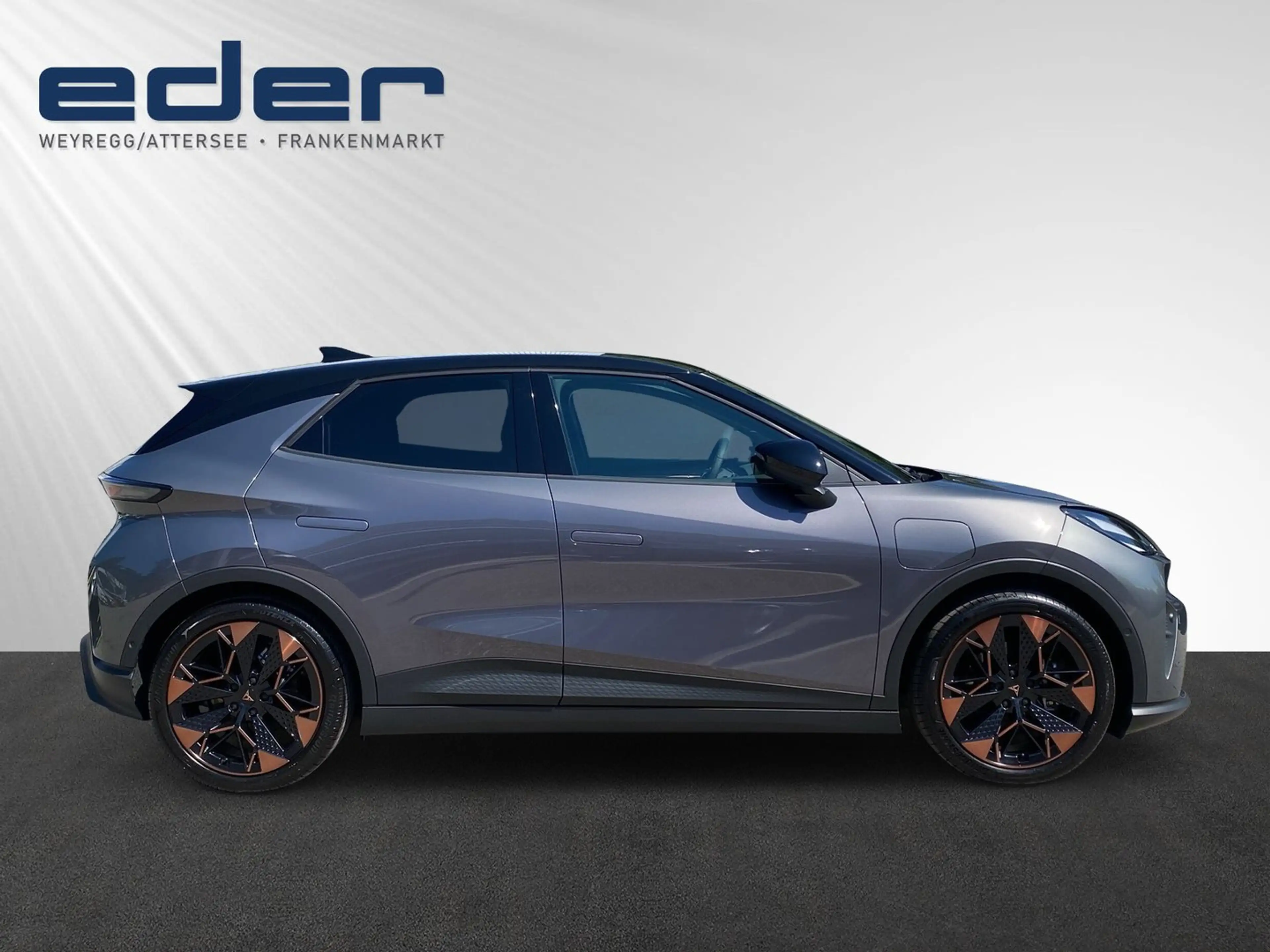 CUPRA Raval ENDURANCE 52/55 155kW/211 PS — photo 8