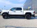 RAM 1500 3.0L I6 Hurricane RHO N1 - Pronta Blanc - thumbnail 4