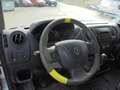 Renault Master Master Kasten L1H1 3,3t - nur Gewerbe/Export Білий - thumbnail 9