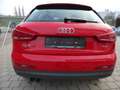 Audi Q3 2.0 TDI/1Hand/wenig km/sehr gepflegt/Panodach Rosso - thumbnail 4