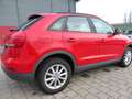 Audi Q3 2.0 TDI/1Hand/wenig km/sehr gepflegt/Panodach Rosso - thumbnail 5
