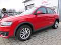 Audi Q3 2.0 TDI/1Hand/wenig km/sehr gepflegt/Panodach Rosso - thumbnail 2