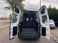 Ford Transit /Tourneo Custom Kombi 310 L2 Trend Blanc - thumbnail 19