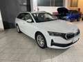 Skoda Octavia Octavia 2.0 TDI 150 CV DSG Wagon Selection Bianco - thumbnail 3
