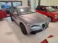Alfa Romeo Stelvio 2.0 T AWD Super Grijs - thumbnail 6