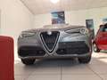 Alfa Romeo Stelvio 2.0 T AWD Super Grijs - thumbnail 7