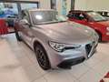 Alfa Romeo Stelvio 2.0 T AWD Super Grijs - thumbnail 5