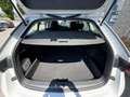 Skoda Octavia 2.0 TDI EVO SCR DSG Wagon Executive "NAVI"FULL LED Gris - thumbnail 11