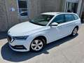 Skoda Octavia 2.0 TDI EVO SCR DSG Wagon Executive "NAVI"FULL LED Gris - thumbnail 1