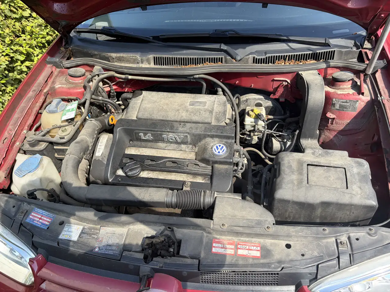 Volkswagen Golf 1.4 Edition, foto 8