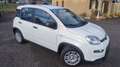 Fiat Panda Panda 1.0 69cv Hybrid (Pandina) Wit - thumbnail 2