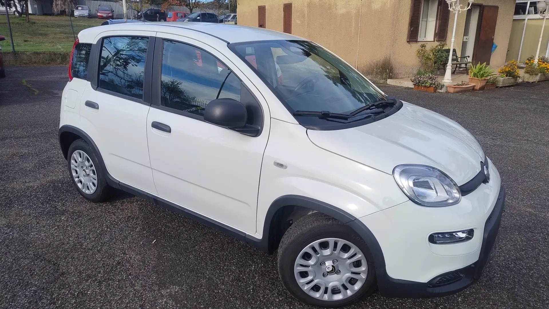 Fiat Panda Panda 1.0 69cv Hybrid (Pandina) Wit - 2