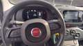 Fiat Panda Panda 1.0 69cv Hybrid (Pandina) Wit - thumbnail 4