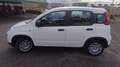 Fiat Panda Panda 1.0 69cv Hybrid (Pandina) Wit - thumbnail 5