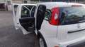 Fiat Panda Panda 1.0 69cv Hybrid (Pandina) Wit - thumbnail 6