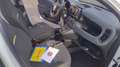 Fiat Panda Panda 1.0 69cv Hybrid (Pandina) Wit - thumbnail 11