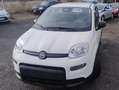 Fiat Panda Panda 1.0 69cv Hybrid (Pandina) Wit - thumbnail 1