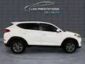 Hyundai TUCSON II 2.0 CRDI 185 Executive 4WD BVA6 Bianco - thumbnail 7