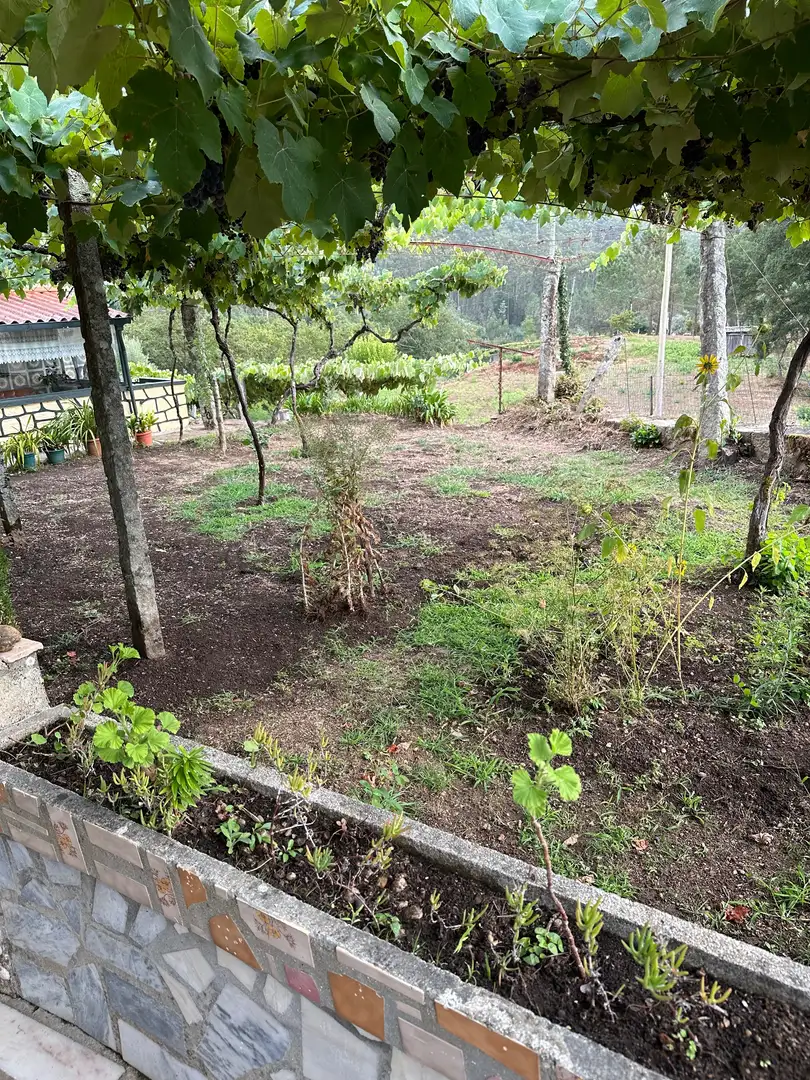 Mercedes-Benz ML 350 ML 350 BlueTEC 4MATIC Fascination A Noir - 1