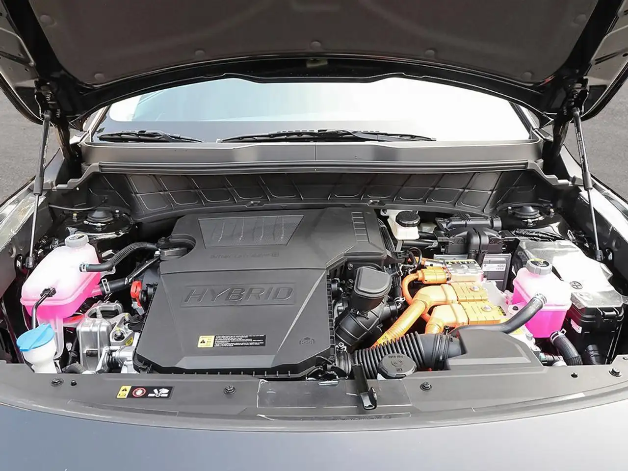 Kia Niro photo Kia Niro