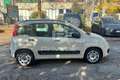 Fiat Panda Panda 1.2 Lounge - thumbnail 4