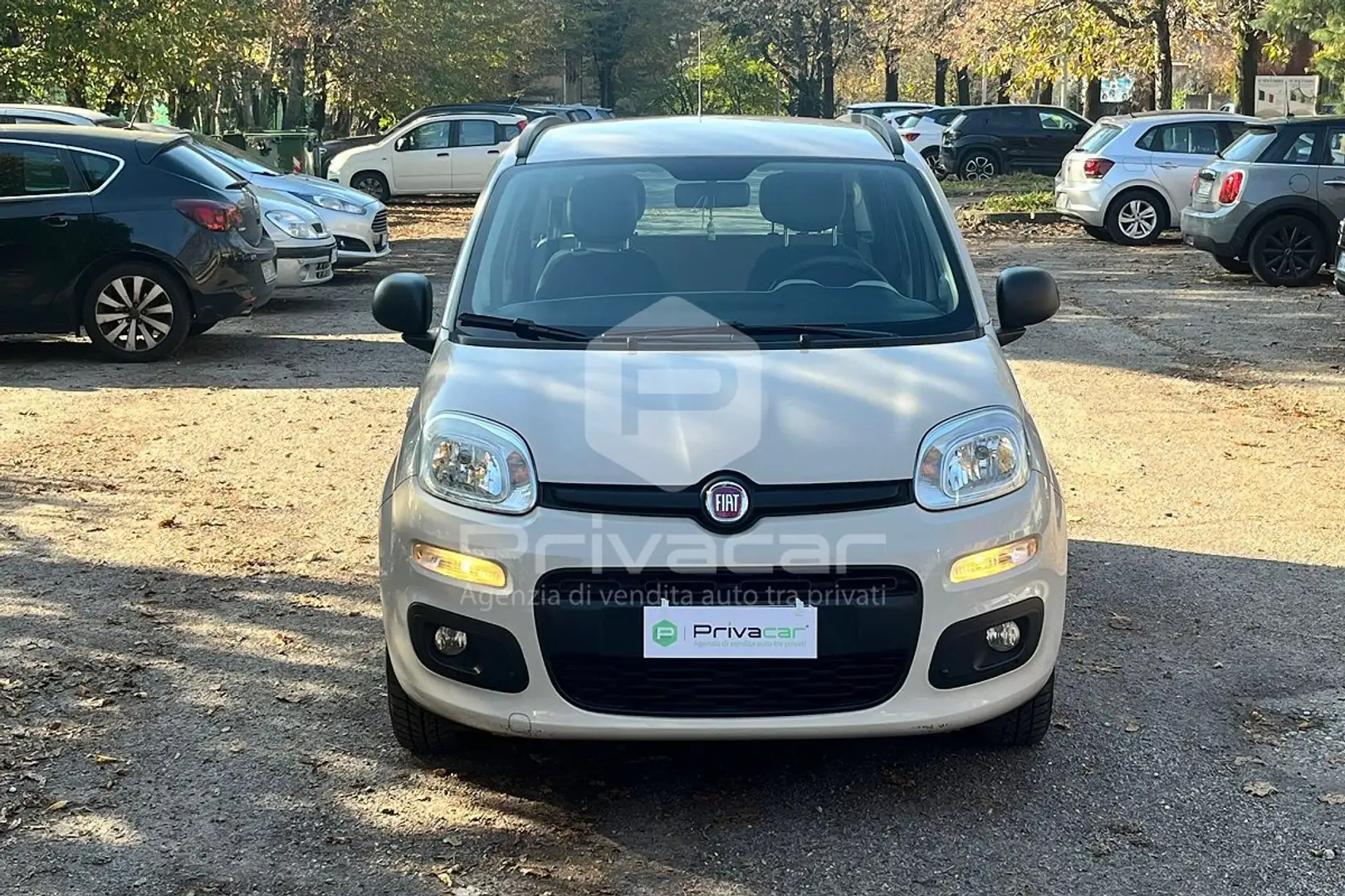 Fiat Panda Panda 1.2 Lounge - 2