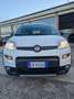 Fiat Panda 0.9 t.air t. 4x4 Wild s&s 85cv Bianco - thumbnail 2