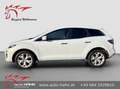 Mazda CX-7 CD173 Revolution Top / Xenon/Leder/Navi/ AHK Weiß - thumbnail 6