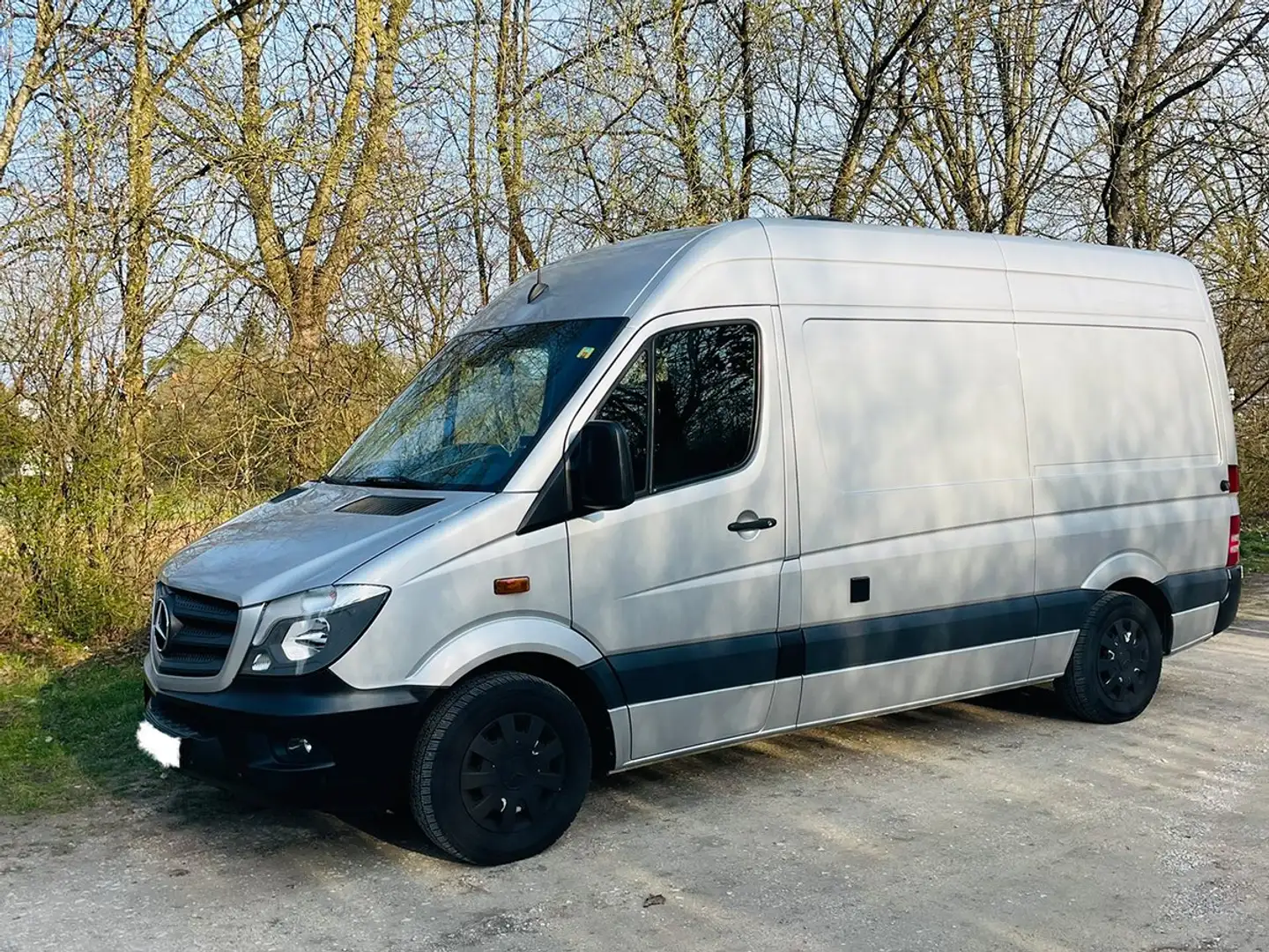 Mercedes-Benz Sprinter 314+CDI+Sprinter+906.231 Silber - 1