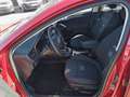 Ford Focus ACTIVE NAVI / AHK / GJR / LED / ACC /WINTER-PAKET Rouge - thumbnail 13