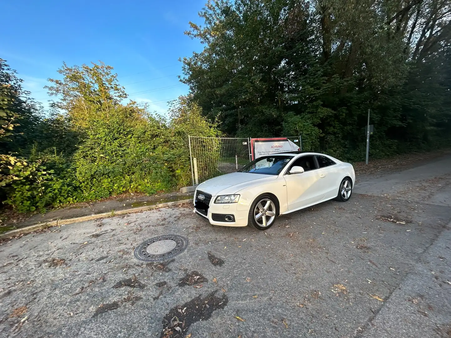Audi A5 3.0 TDI DPF quattro Weiß - 1