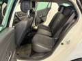 Renault Megane Mégane 1.5 dCi 110CV SporTour GT Line Bianco - thumbnail 14