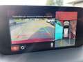 Mazda CX-5 2.2 Signature awd 184cv *TETTO*CARPLAY*LED*90K KM* Rosso - thumbnail 14