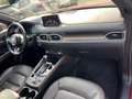 Mazda CX-5 2.2 Signature awd 184cv *TETTO*CARPLAY*LED*90K KM* Rosso - thumbnail 11