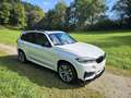 BMW X5 xDrive30d Aut. M-Paket Individual VOLL Weiß - thumbnail 4