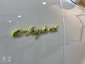 Porsche Cayenne E-Hybrid Aut. Blanco - thumbnail 22